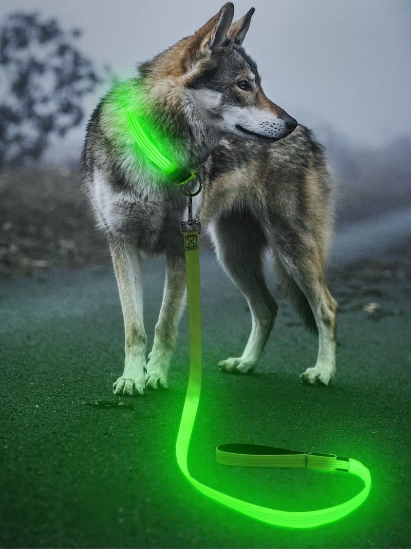 Ultra High Night Visibility USB Rechargeable Flashing Pet Leash Glow in The Night Multicolor Large 1Pcs - Image 4