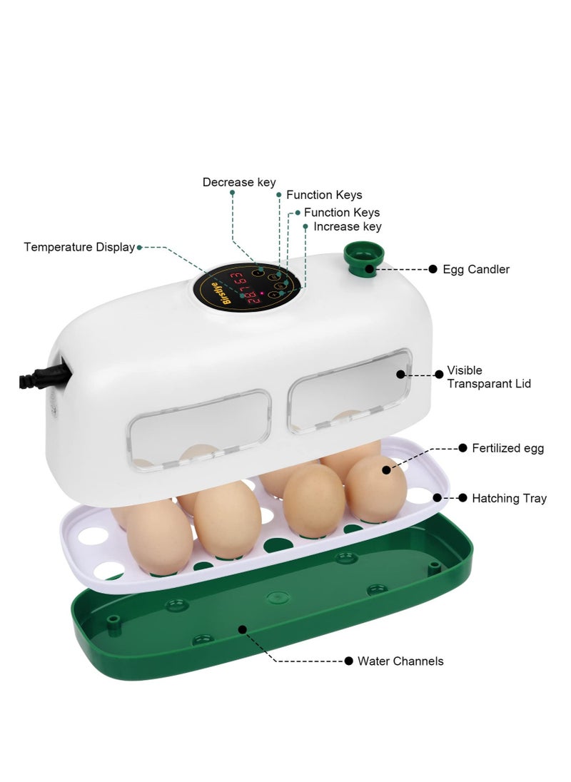 Generic - Mini Egg Incubator for 8 Eggs - Poultry Hatcher with Humidity & Temperature Control for Chickens, Quail, Ducks & More (White) - Image 1
