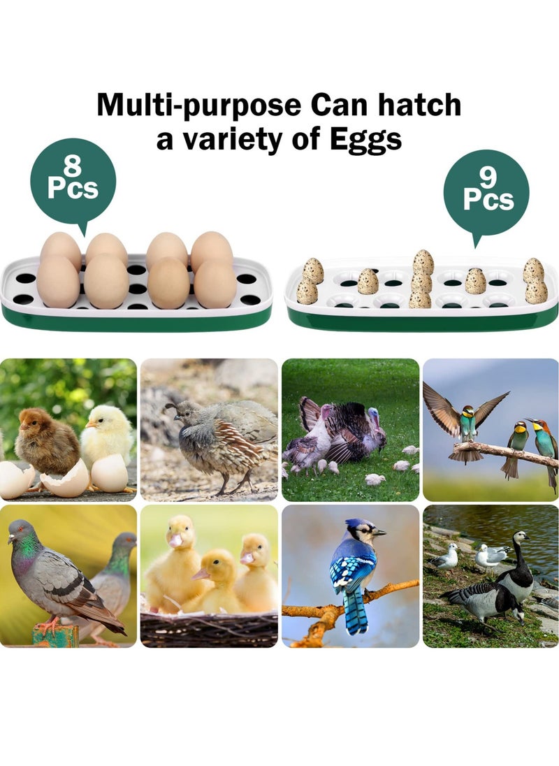 Generic - Mini Egg Incubator for 8 Eggs - Poultry Hatcher with Humidity & Temperature Control for Chickens, Quail, Ducks & More (White) - Image 1