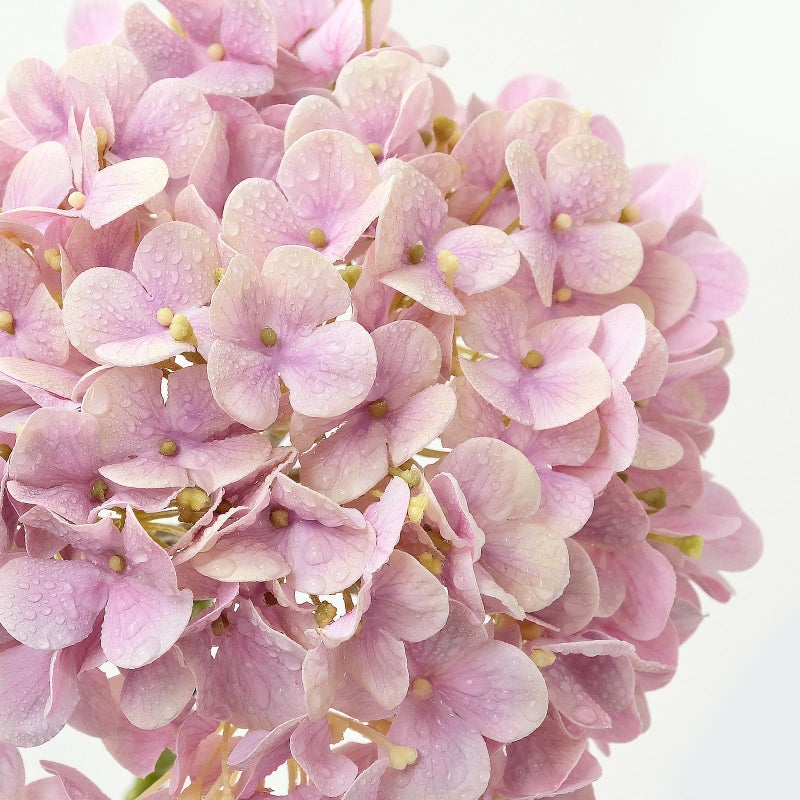 ZYTUYO 4PCS 20'' Real Touch Hydrangea Artificial Flowers Light Pink Champagne Faux Hydrangeas for Spring Porch Home Wedding Floral Arrangements Outdoor Party Baby Shower Table Centerpiece Xmas Decor - Image 2