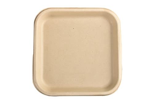 Amit Marketing 10" Square Plain Dish Bio-Degradable Dish (25pcs) - Image 1
