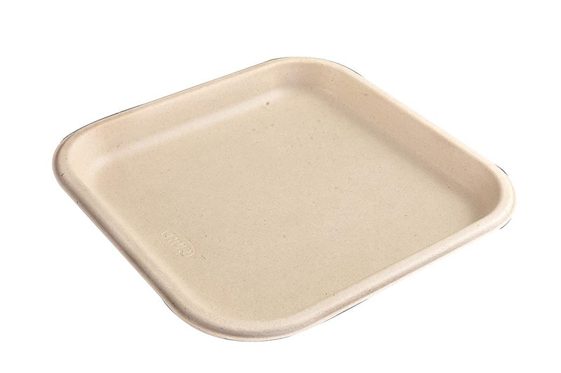 Amit Marketing 10" Square Plain Dish Bio-Degradable Dish (25pcs) - Image 5