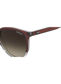 Levi's Cat Eye Sunglasses  - Image 4