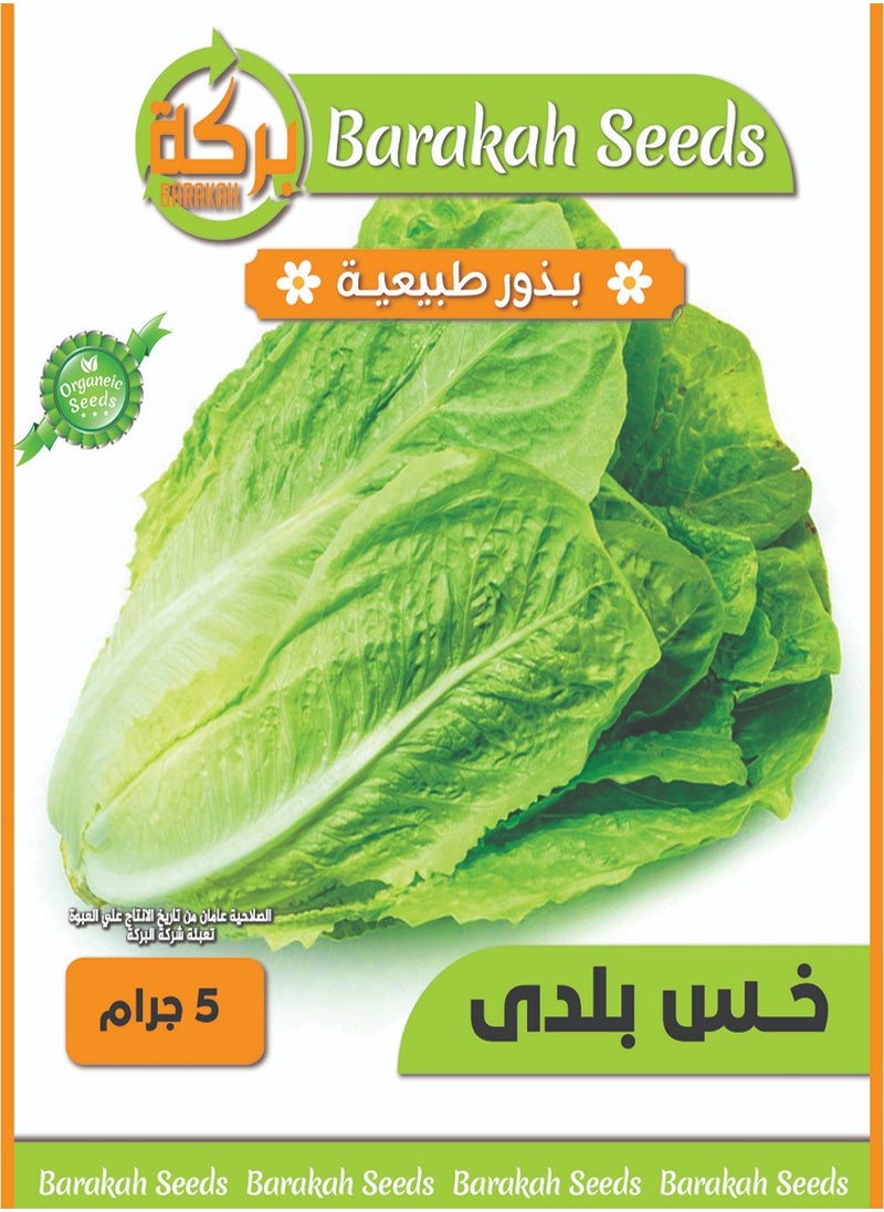 Generic High germination rate seeds - Lettuce 