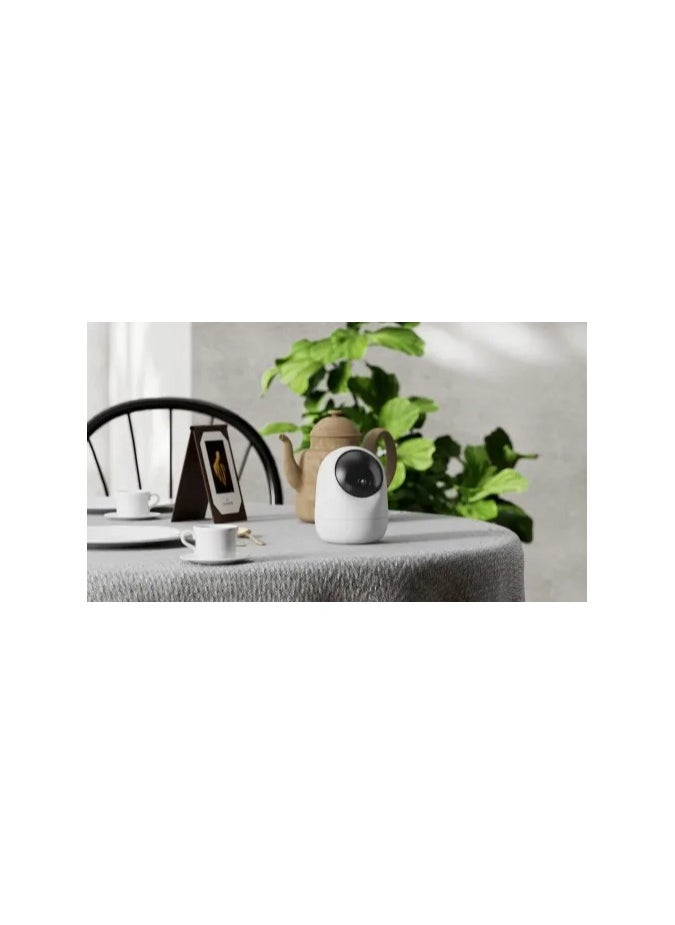 PROMAGE - Connect Speed 25Q Indoor PTZ 4MP Dual Band WIFI Camera - Image 1