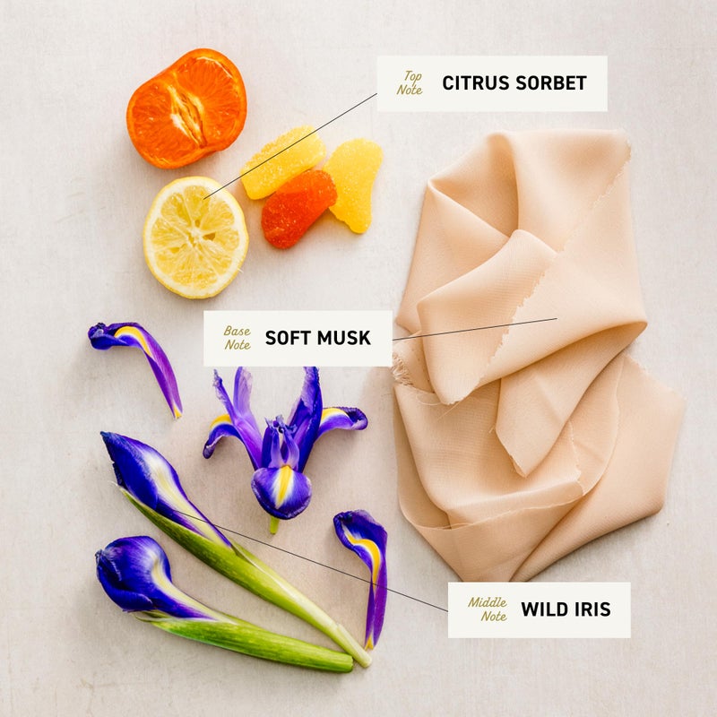 Cremo Wild Iris Musk Skin Moisturizing Body Wash for Women, Notes of Citrus Sorbet, Wild Iris, and Fluffy Musk, 16 Fl Oz - Image 3