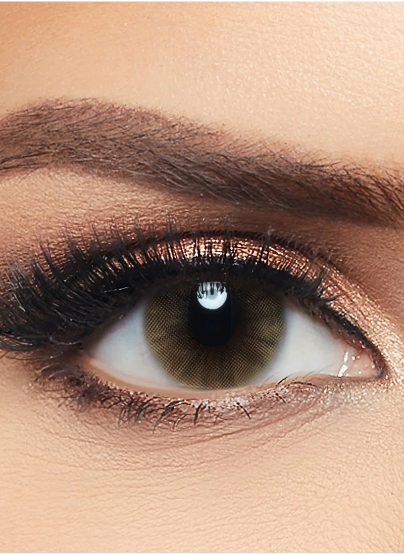 Layala Layala 2024 Collection - 2 lenses - Terra Brown