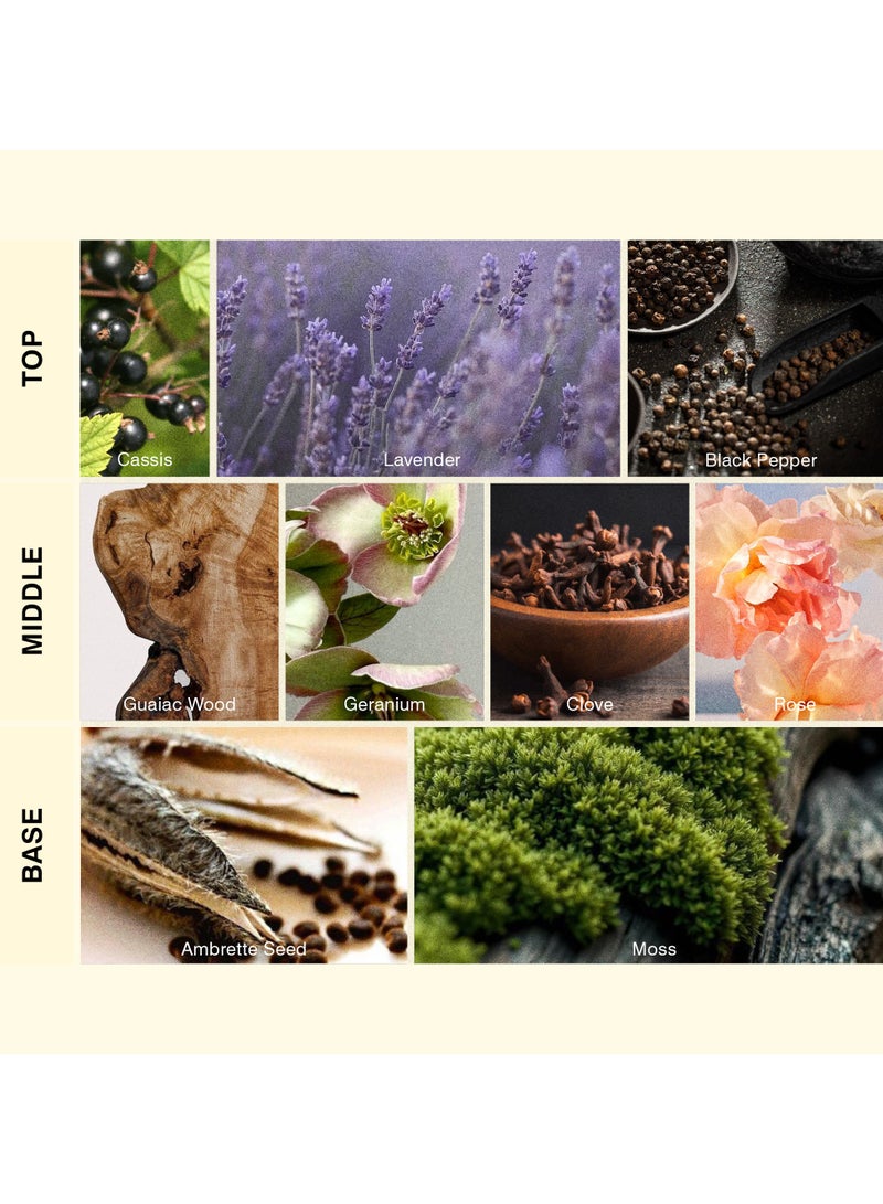 ISCENT | Eau d'Ombre Fragrance Oil Refill for Ensō Diffuser – 100ml Signature Scent with Cassis, Guaiac Wood & Ambrette | A Darkly Elegant Blend of Woods, Spice & Shadow for the Modern Home - Image 2