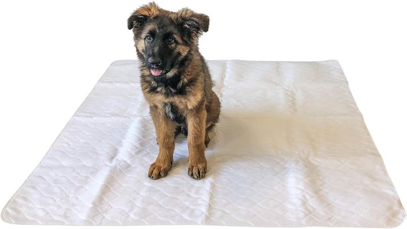 Midlee 47 x 47 Dog Pee Pad Pack of 2 Washable  Reusable Large Puppy Potty Training Pad