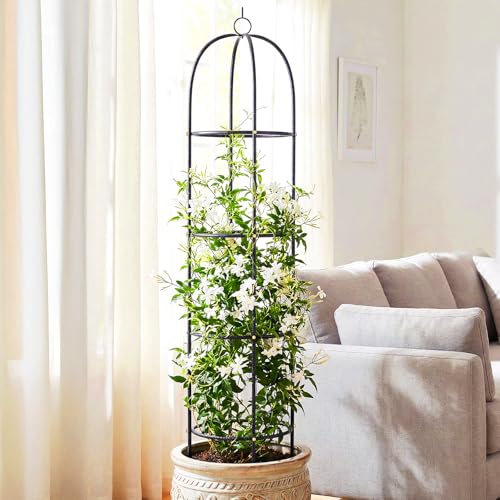 CL FUN Metal Trellis for Climbing Plants Outdoor 2026 Upgrade 100 Metal with Powder Coating Rose Flowers Grape Pea Cucumber Tomato Cage 63 FT Freestanding Plant Support - Image 3