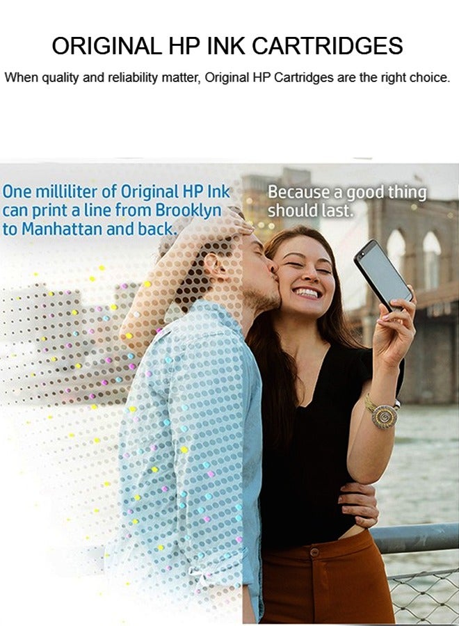 HP خراطيش حبر HP 730 الأصلية P2V65A، أسود غير لامع، طباعة عالية الجودة لسلسلة Designjet T1700، جفاف سريع، نتائج احترافية - Image 3