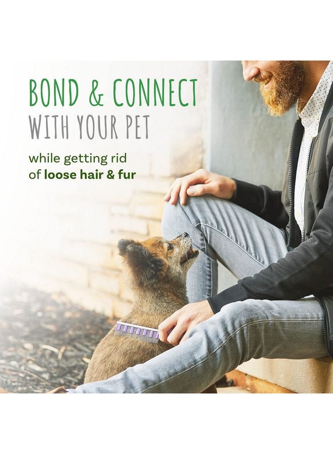 Small Pet Select - Hair Buster Comb for Rabbits, Cats and Dogs, Metal Pet Comb for Shedding and Detangling, Grooming Tool for Small Pets with Long and Short Fur - Image 5