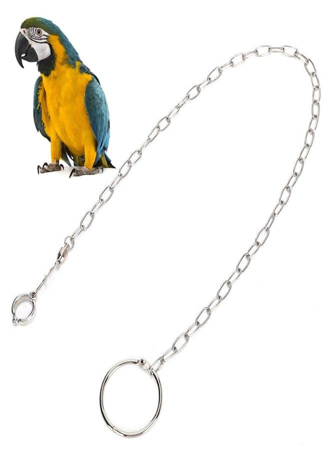 Zerodis Bird Foot Chain, Pet Bird Leash Parrot Foot Chain Stainless Steel Anti bite Flying Training Anklet Ring Parrot Ankle Foot Ring Accessories - Image 1