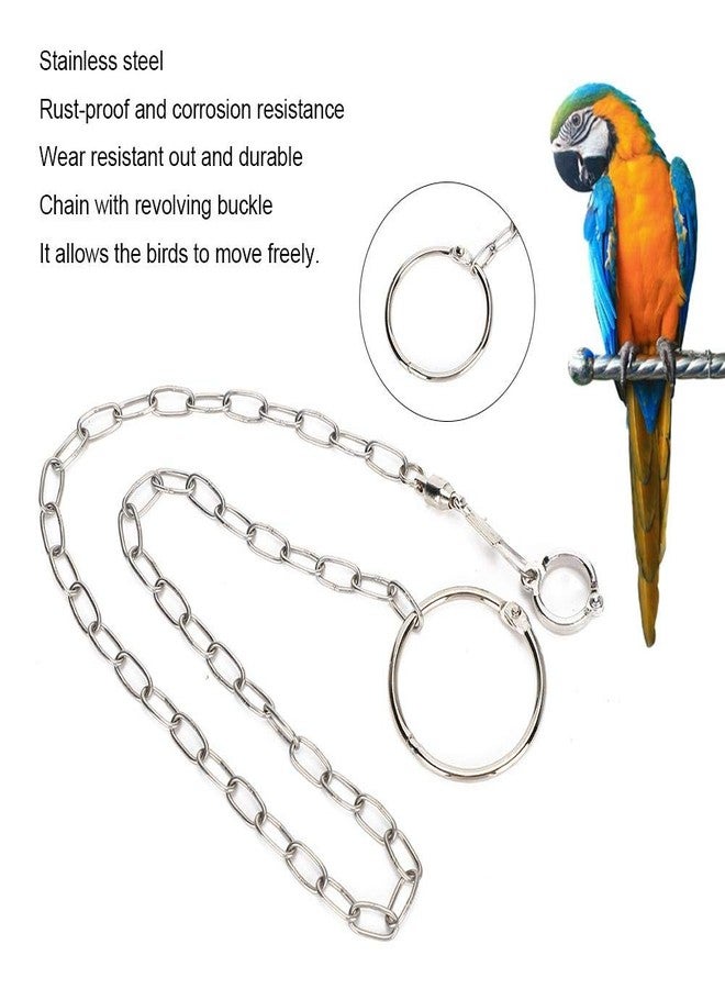 Zerodis Bird Foot Chain, Pet Bird Leash Parrot Foot Chain Stainless Steel Anti bite Flying Training Anklet Ring Parrot Ankle Foot Ring Accessories - Image 2