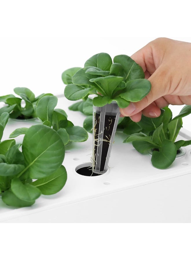 iDOO 60 Pcs Replacement Grow Sponges, Seed Starter Pods Kits Hydroponic Sponges for Hydroponic Growing System ID-IG301 ID-IG302 ID-IG303 I-D-01  - Image 1