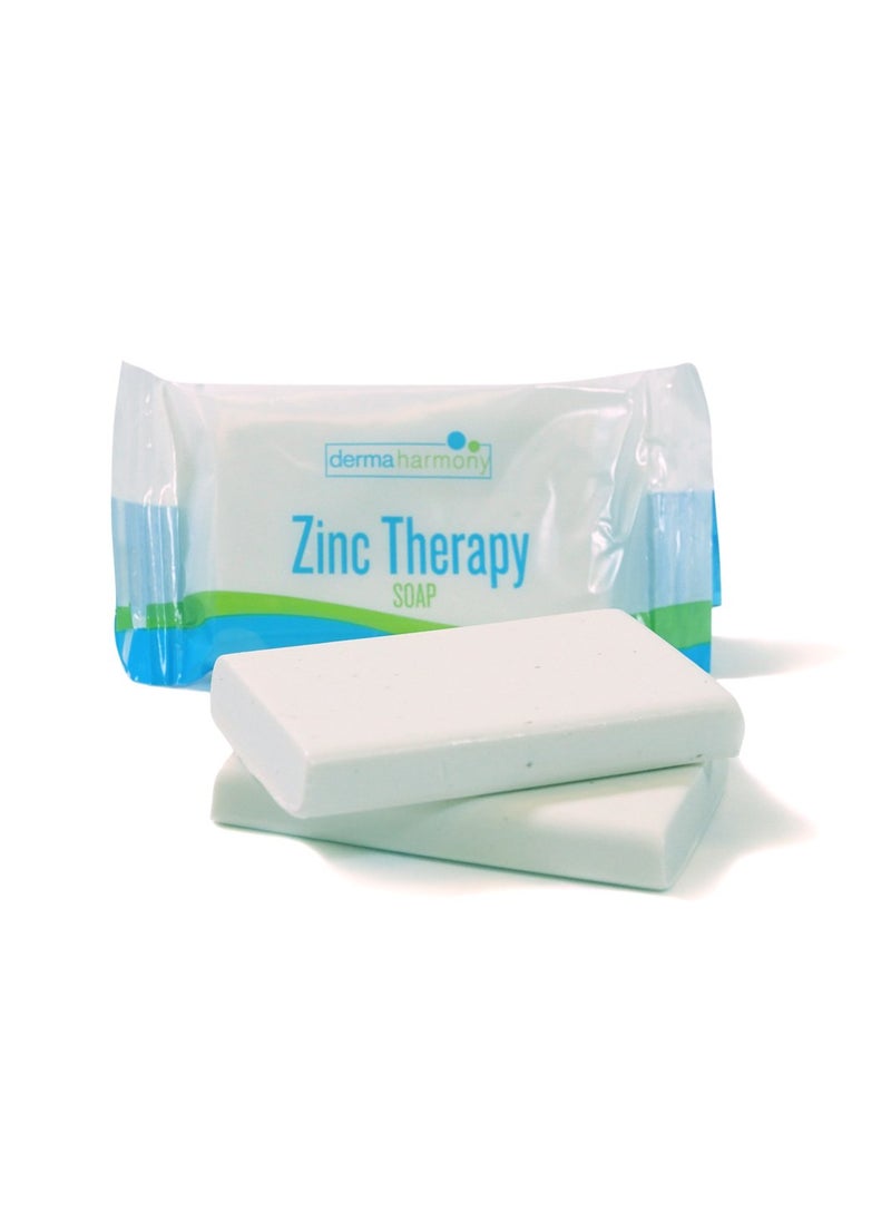 Dermaharmony - Zinc Therapy Soap 1 Oz. Bar (2 Pack) - Image 1