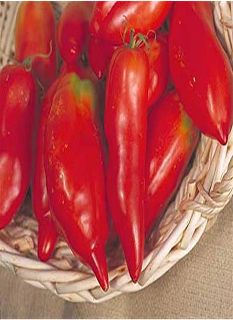 GGOOT Jersey Devil USA American Heritage Heirloom Horn Shape Bright RED Paste Cooking Tomato 20 Organic Seeds Certified  Organic Grower 