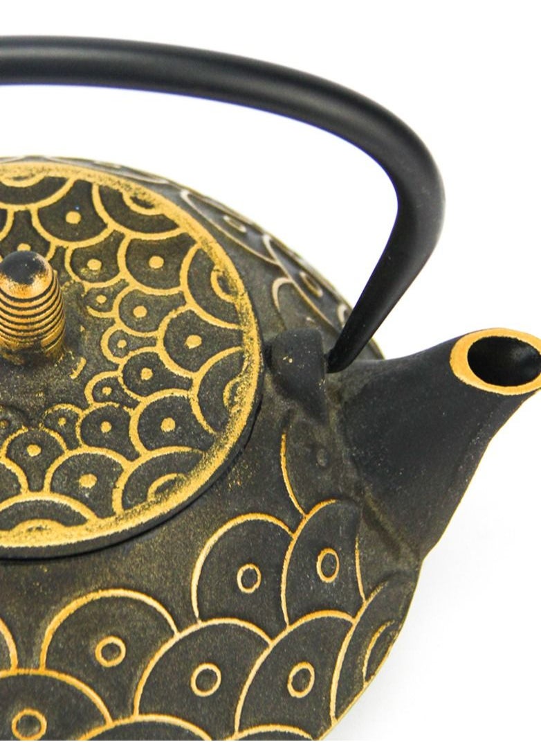 Tealand - Durable Coated with Enamel Interior Cast Iron Teapot with Stainless Steel Infuser for Brewing Loose Tea Leaf 0.8 Liter - Image 1