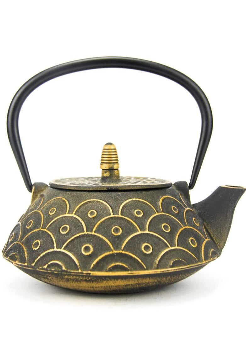 Tealand - Durable Coated with Enamel Interior Cast Iron Teapot with Stainless Steel Infuser for Brewing Loose Tea Leaf 0.8 Liter - Image 1