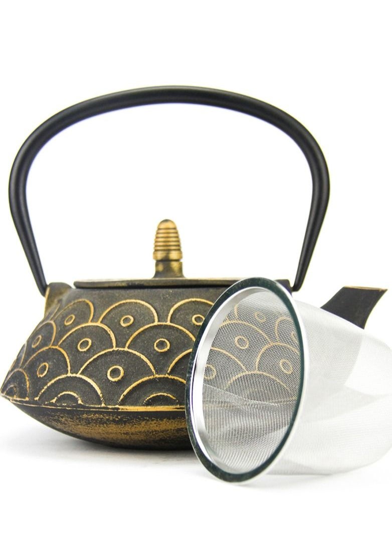 Tealand - Durable Coated with Enamel Interior Cast Iron Teapot with Stainless Steel Infuser for Brewing Loose Tea Leaf 0.8 Liter - Image 1