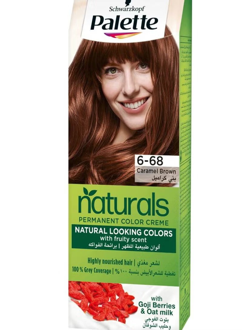 باليت ناتشورالز 6-68 بني كراميل 110 مل