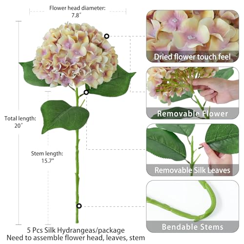 ZYTUYO 5 Pcs Champagne Mauve Silk Hydrangeas Artificial Flower Boho Dried Touch 20 Faux Hydrangeas for Indoor Home Decor Kitchen Living Room Outdoor Porch Wedding Flower Arrangement - Image 3