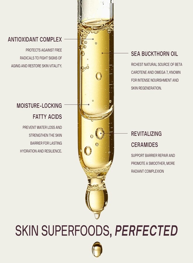 Dermaclara Daily Restorative Oil - Face Oil for Women & Men with Jojoba Oil, Hydrating and Anti Aging with Nourishing Superfoods, Overnight Moisture for Youthful Glow - 30 ml - Image 3