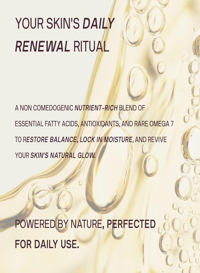 Dermaclara Daily Restorative Oil - Face Oil for Women & Men with Jojoba Oil, Hydrating and Anti Aging with Nourishing Superfoods, Overnight Moisture for Youthful Glow - 30 ml - Image 2