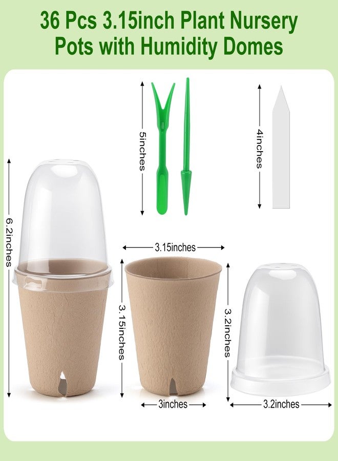 Baxrou 36 Set 3.15 Inch Peat Pots Plant Starters for Seedling with Humidity Dome，Biodegradable Herb Seed Starter Pots Kits, Garden Germination Nursery Pot wit 36 Plant Labels, 2 Transplant Tools. - Image 2