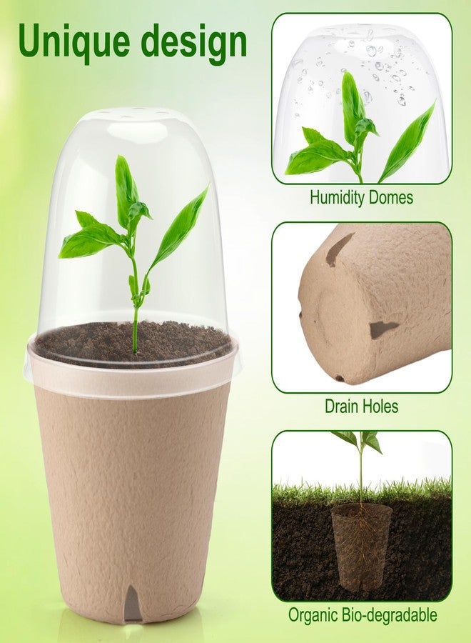 Baxrou 36 Set 3.15 Inch Peat Pots Plant Starters for Seedling with Humidity Dome，Biodegradable Herb Seed Starter Pots Kits, Garden Germination Nursery Pot wit 36 Plant Labels, 2 Transplant Tools. - Image 3