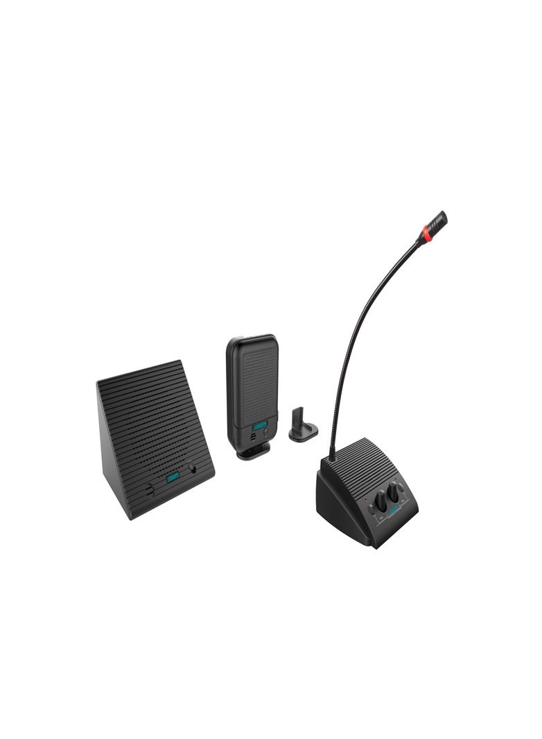 DSPPA Professional  Microphone - Image 2