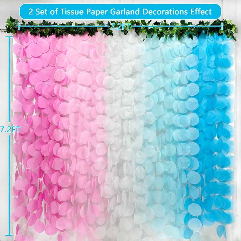 pinkblume 205 Ft Gender Reveal Party Decorations Ombre Pink and Blue Big Circle Dot Backdrop Garland Tissue Paper Polka Dot Hanging Curtain Streamer for He or She Boy or Girl Baby Shower Birthday Party Supplies - Image 3