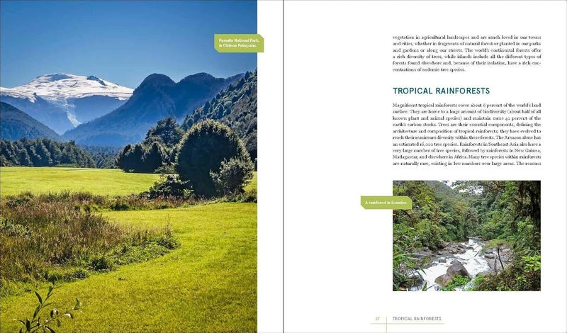 Rare Trees: The Fascinating Stories of the World's Most Threatened Species  - Image 3