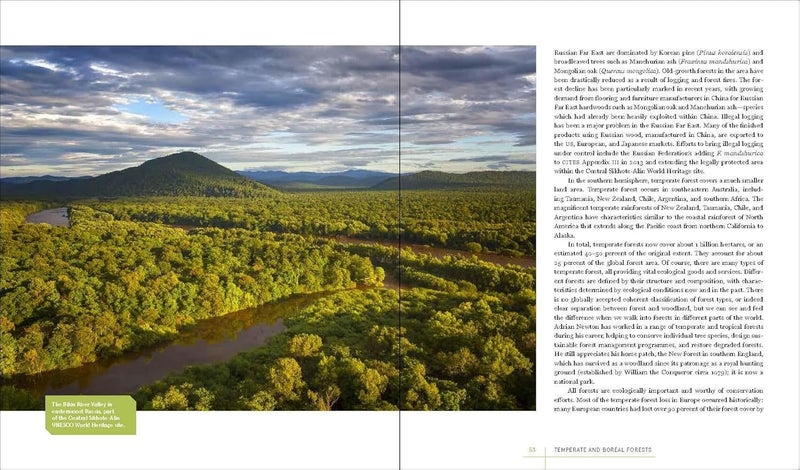 Rare Trees: The Fascinating Stories of the World's Most Threatened Species  - Image 5