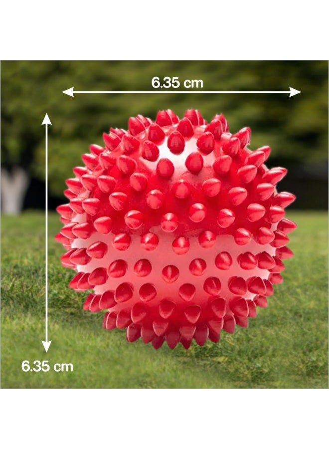 Drools Non-Toxic Rubber Toy for Dogs Hard Ball (Medium) 7.6 cm Pack | Non Destructive Chewing | Enhance Dental Health | High Durability | Helps in Weight Management - Image 2