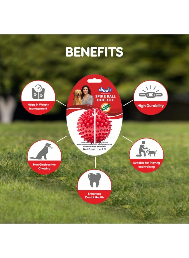 Drools Non-Toxic Rubber Toy for Dogs Hard Ball (Medium) 7.6 cm Pack | Non Destructive Chewing | Enhance Dental Health | High Durability | Helps in Weight Management - Image 4