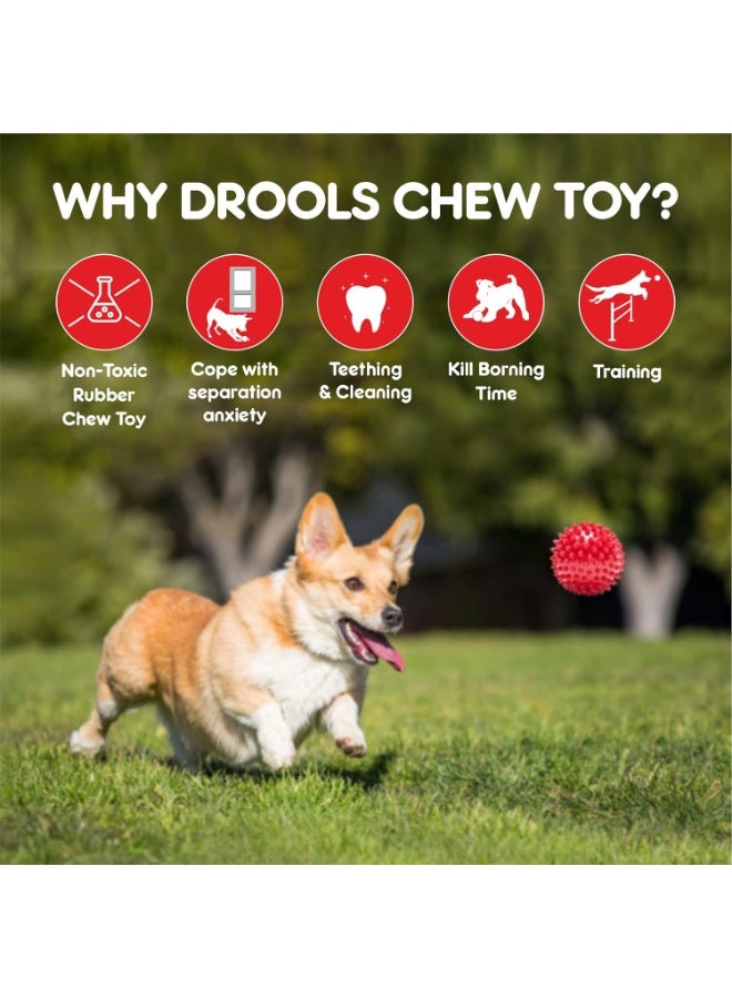 Drools Non-Toxic Rubber Toy for Dogs Hard Ball (Medium) 7.6 cm Pack | Non Destructive Chewing | Enhance Dental Health | High Durability | Helps in Weight Management - Image 3