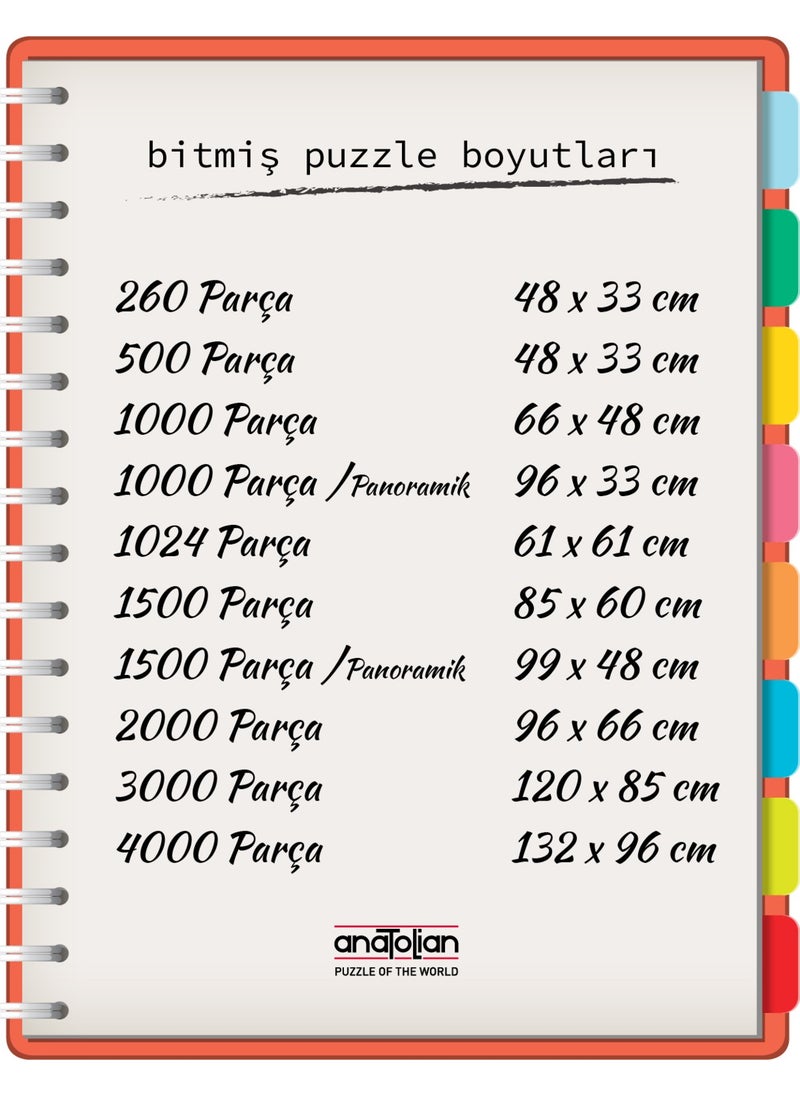 Anatolian - 4000 Piece Puzzle / Rome Gallery - Code 5204 - Image 1