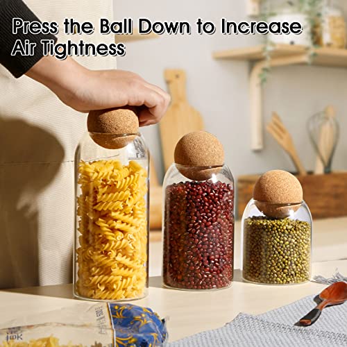 NUTRIUPS Storage Glass Jar with Ball Cork Lid, 3Pcs Glass Canisters with Cork Ball, Cute Decorative Round Jars with Wood Lid 500 ML/17Oz,800ML/27Oz,1200ML/41Oz - Image 5