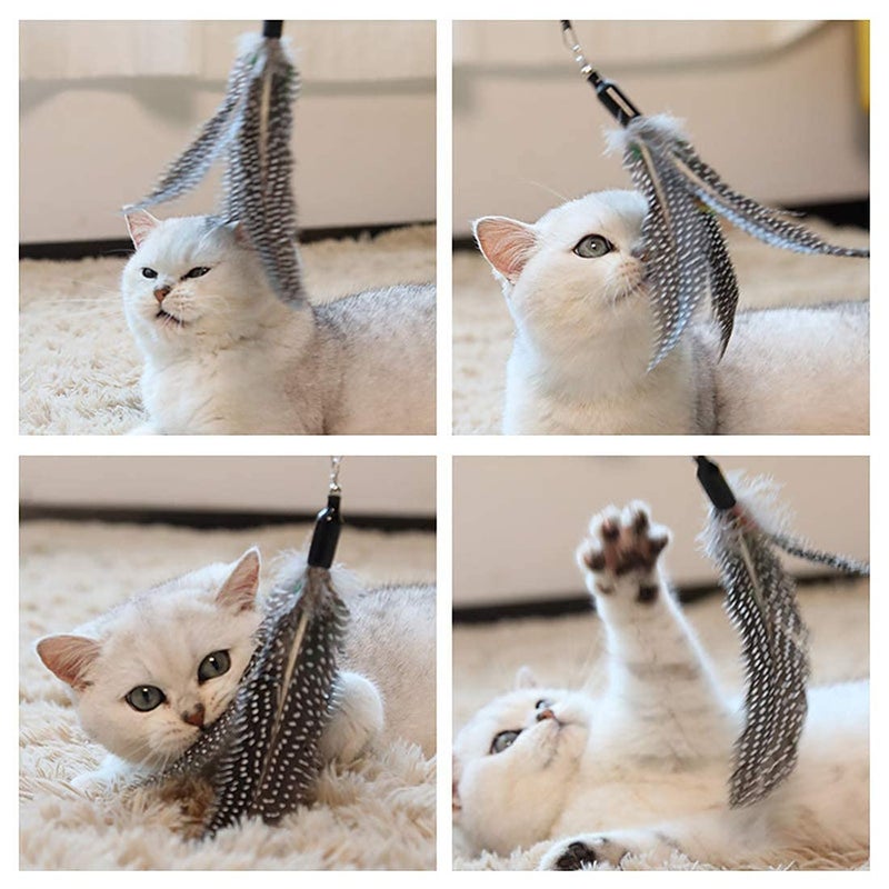 Sunkizzrs ® Interactive Feather Toy Set - Activity Toys for Kittens - Wand to Exercise Cats - Stick Toy for Indoor Cats (1 Retractable Stick + 1 Feather) - Image 3