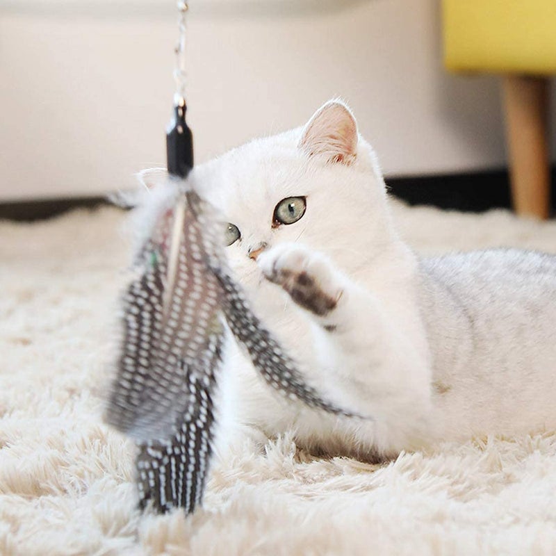 Sunkizzrs ® Interactive Feather Toy Set - Activity Toys for Kittens - Wand to Exercise Cats - Stick Toy for Indoor Cats (1 Retractable Stick + 1 Feather) - Image 5