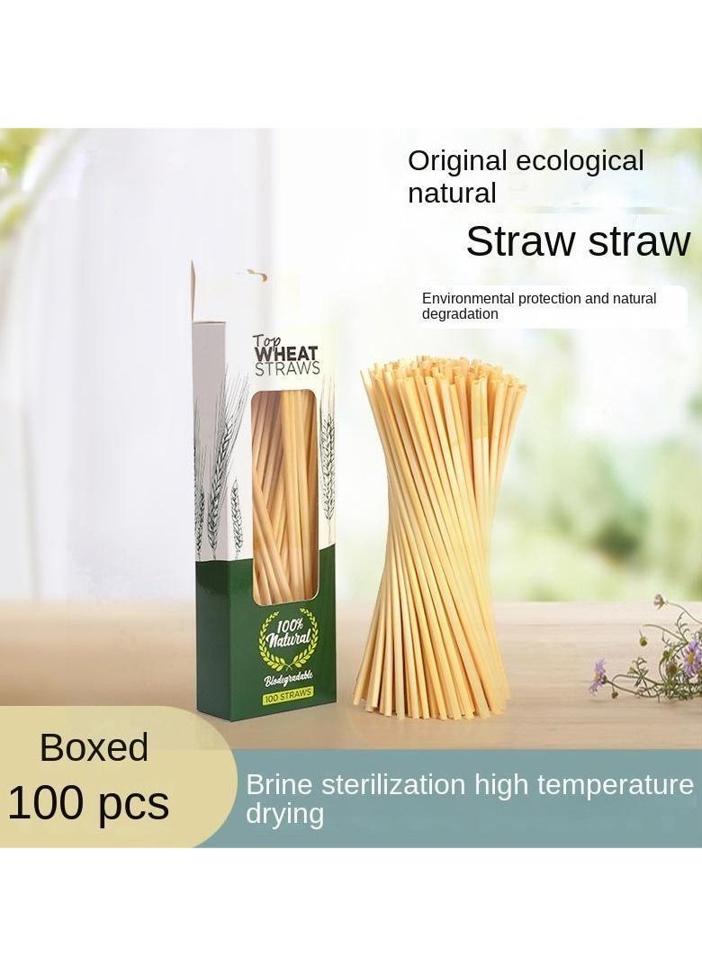 Y&D 100-Piece Plant Wheat Straws Set - Image 1