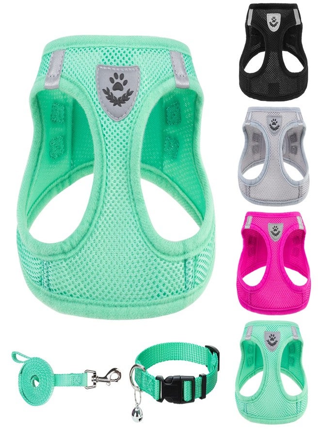 PUPTECK Adjustable Dog Harness Collar and Leash Set Step in No Pull Pet Harness for Small Medium Dogs Puppy and Cats Outdoor Walking Running, Soft Mesh Padded Reflective Vest Harnesses, Solid Green XS - Image 1