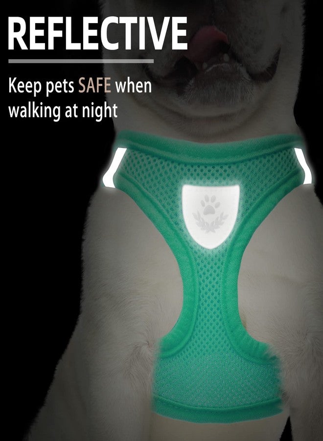 PUPTECK Adjustable Dog Harness Collar and Leash Set Step in No Pull Pet Harness for Small Medium Dogs Puppy and Cats Outdoor Walking Running, Soft Mesh Padded Reflective Vest Harnesses, Solid Green XS - Image 5