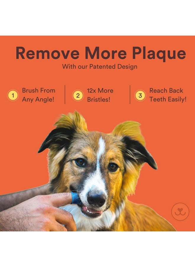 جاسبر فرشاة أسنان جاسبر للكلاب - طقم فرشاة أسنان دوارة 360 درجة بتصميم مريح، شعيرات محيطة بالكامل لسهولة تنظيف الأسنان، للعناية بالأسنان للجراء والقطط والحيوانات الأليفة الصغيرة، عبوة من 4 قطع متعددة الألوان - Image 2