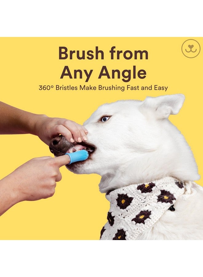 جاسبر فرشاة أسنان جاسبر للكلاب - طقم فرشاة أسنان دوارة 360 درجة بتصميم مريح، شعيرات محيطة بالكامل لسهولة تنظيف الأسنان، للعناية بالأسنان للجراء والقطط والحيوانات الأليفة الصغيرة، عبوة من 4 قطع متعددة الألوان - Image 4