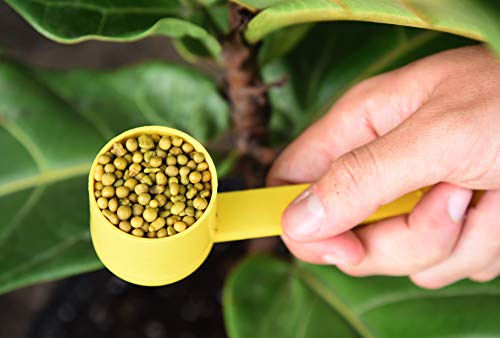 PERFECT PLANTS Fiddle Leaf Fig Slow-Release Fertilizer by Perfect Plants - Resealable 5oz. Bag - Consistent Nutrient Enrichment - for Indoor and Outdoor Use on All Ficus Varieties - Image 2