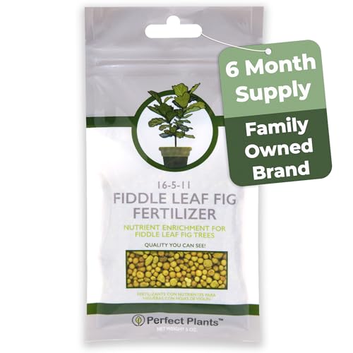 PERFECT PLANTS Fiddle Leaf Fig Slow-Release Fertilizer by Perfect Plants - Resealable 5oz. Bag - Consistent Nutrient Enrichment - for Indoor and Outdoor Use on All Ficus Varieties - Image 1