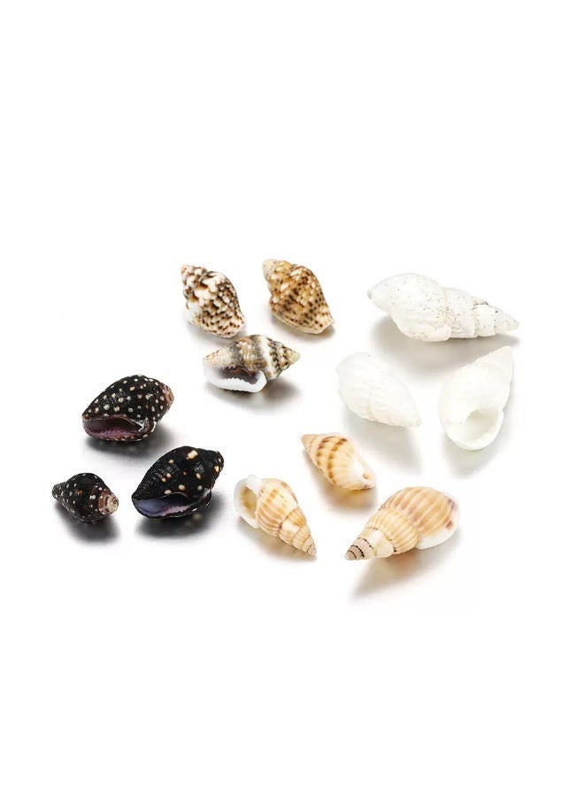 100PCS Open Back Natural Spiral Shell Beads, Spiral Conch Shells Charms, Beach Seashells Beads, Suitable For DIY Craft Jewelry Making ,Home Or Wedding Decoration - Image 2