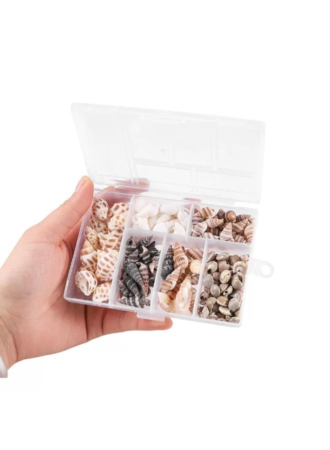 100PCS Open Back Natural Spiral Shell Beads, Spiral Conch Shells Charms, Beach Seashells Beads, Suitable For DIY Craft Jewelry Making ,Home Or Wedding Decoration - Image 3